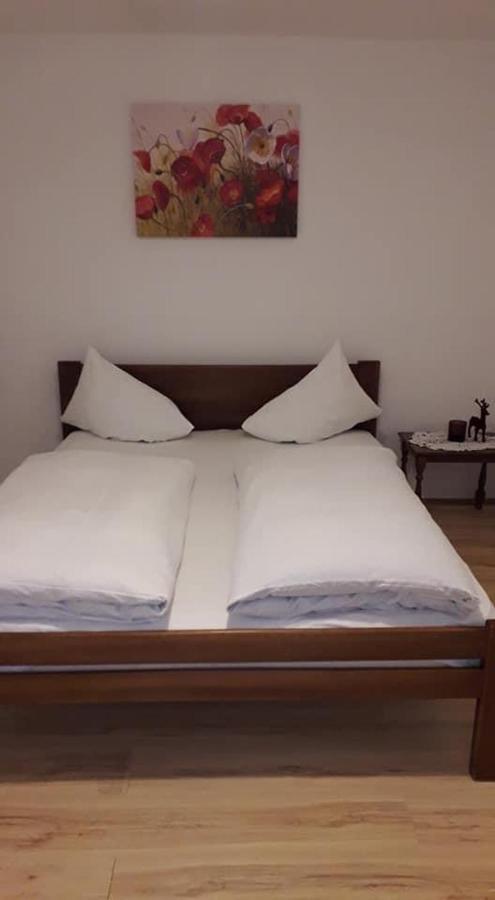 Apartman Milica Požarevac 外观 照片