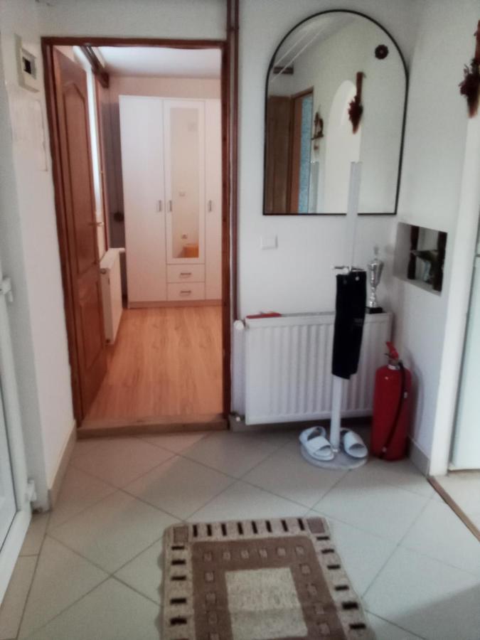 Apartman Milica Požarevac 外观 照片
