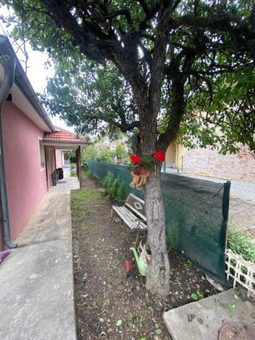 Apartman Milica Požarevac 外观 照片